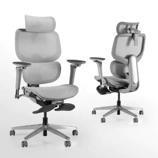 High-Back Ergonomic Office Chair with Headrest - D2 Pro Mesh Computer Chair with Self-Adaptive Lumbar Support