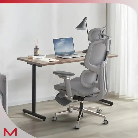 High-Back Ergonomic Office Chair with Headrest - D2 Pro Mesh Computer Chair with Self-Adaptive Lumbar Support